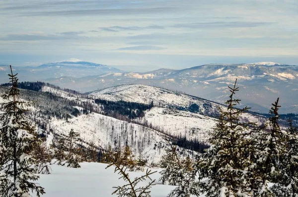 Hermoso Paisaje Montaña Invierno Pistas Mágicas Cubiertas Nieve Las Montañas — Foto de Stock