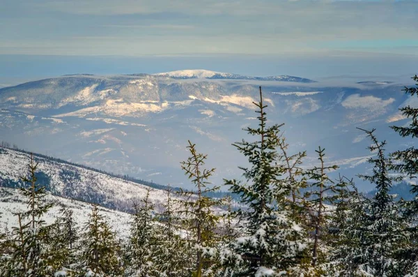 Schöne Winterliche Berglandschaft Zauberhafte Schneebedeckte Hänge Den Polnischen Bergen — Stockfoto