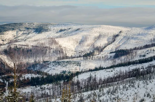 Wunderschöne Wintermärchenlandschaft Schneebedeckte Bäume Und Hänge Den Polnischen Bergen — Stockfoto