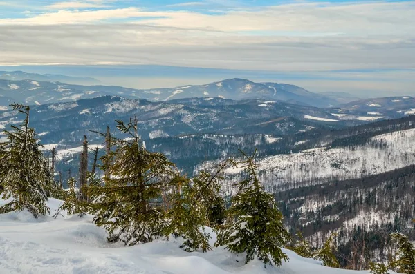 Krásná Zimní Horská Krajina Kouzelné Zasněžené Svahy Polských Hor — Stock fotografie
