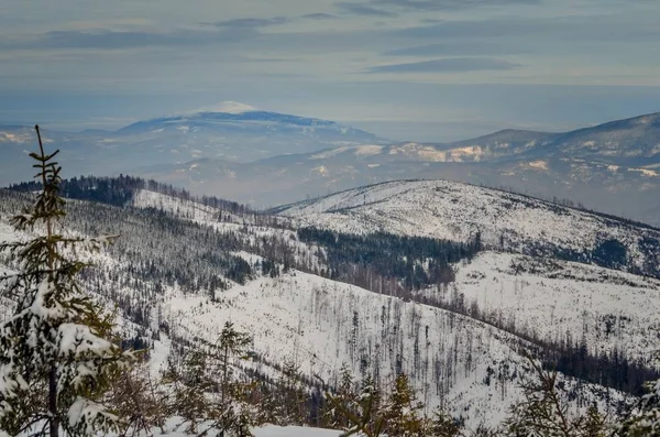 Schöne Winterliche Berglandschaft Zauberhafte Schneebedeckte Hänge Den Polnischen Bergen — Stockfoto