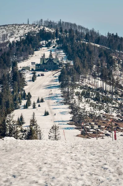 Όμορφο Χειμωνιάτικο Ορεινό Τοπίο Ορεινή Πλαγιά Δέντρα Καλυμμένα Λευκό Χιόνι — Φωτογραφία Αρχείου