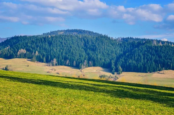 Krásná Jarní Horská Krajina Zelené Louky Stromy Kopcích — Stock fotografie