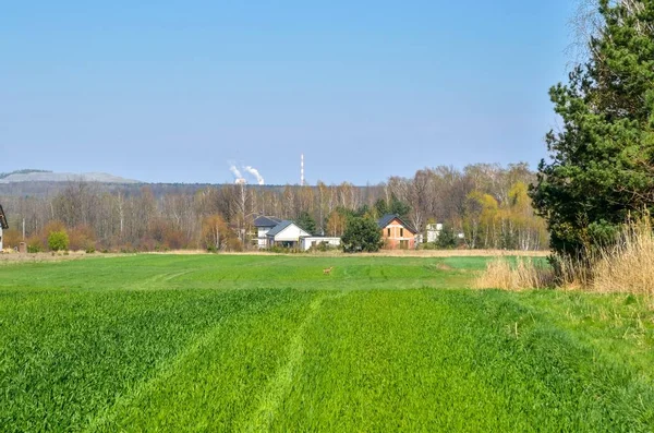 Paisaje Rural Primavera Construcción Nuevo Hogar Campo —  Fotos de Stock