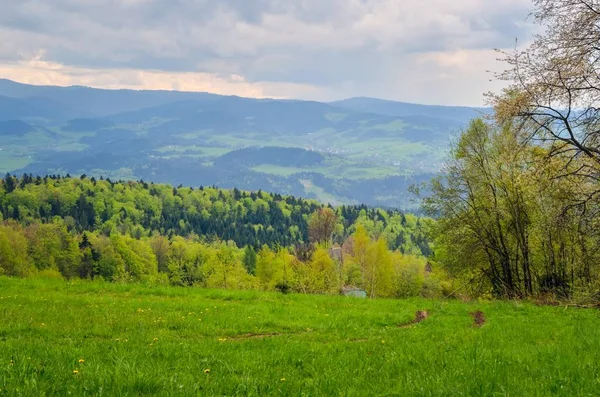 美丽的春天山景 山丘上的绿色乡村风景 — 图库照片