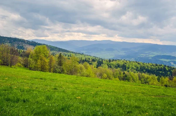 Krásná Jarní Horská Krajina Zelená Venkovská Krajina Kopcích — Stock fotografie