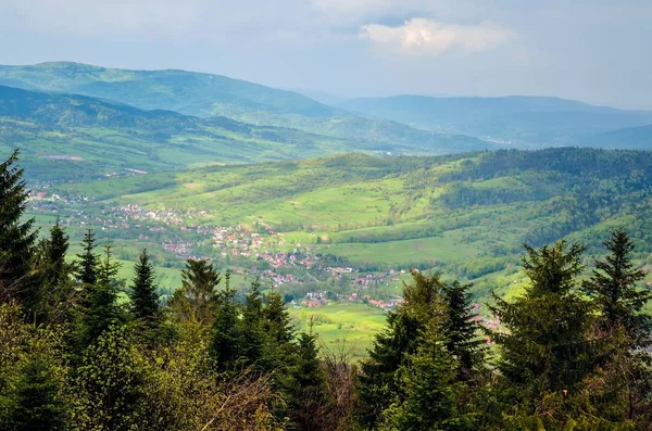 Beautiful Spring Green Landscape View Beautifully Lit Green Hill — Zdjęcie stockowe