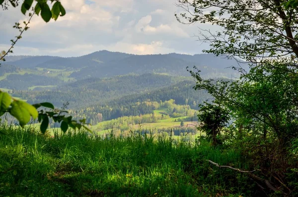 Schöne Frühlingshafte Berglandschaft Charmante Aussicht Auf Die Hügel Mit Grünen — Stockfoto