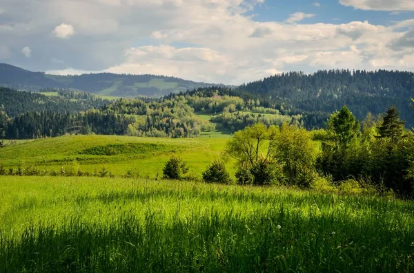 Schöne Frühlingshafte Berglandschaft Charmante Aussicht Auf Die Hügel Mit Grünen — Stockfoto