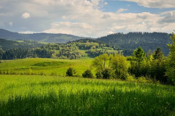 Krásná Jarní Horská Krajina Okouzlující Výhled Kopce Zelenými Stromy — Stock fotografie
