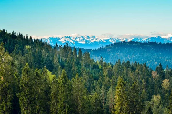 Vakkert Vårlandskap Snødekte Fjell Grønne Åser – stockfoto