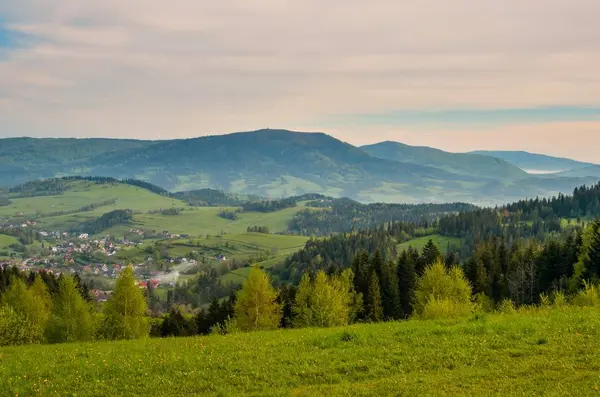 Vackert Bergslandskap Morgondimma Mellan Gröna Kullarna — Stockfoto