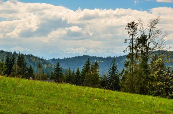 Krásná Jarní Horská Krajina Zelené Louky Lesy Kopcích — Stock fotografie