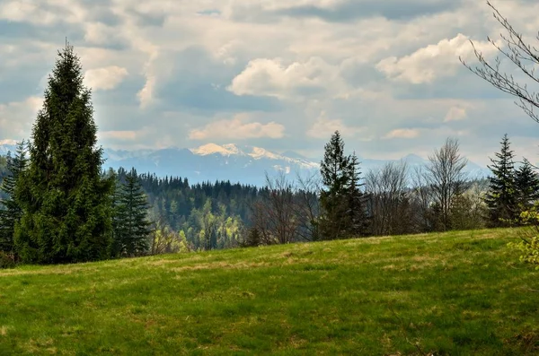 Krásná Jarní Horská Krajina Zelené Louky Lesy Kopcích — Stock fotografie