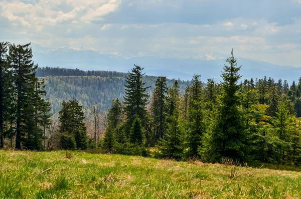 Krásná Horská Jarní Krajina Nádherně Zasněžené Vrcholky Hor Nad Zelenými — Stock fotografie