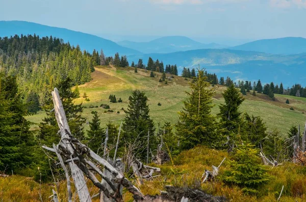 Vakkert Fjærlandskap Sjarmerende Grønn Glade Mellom Åsene – stockfoto