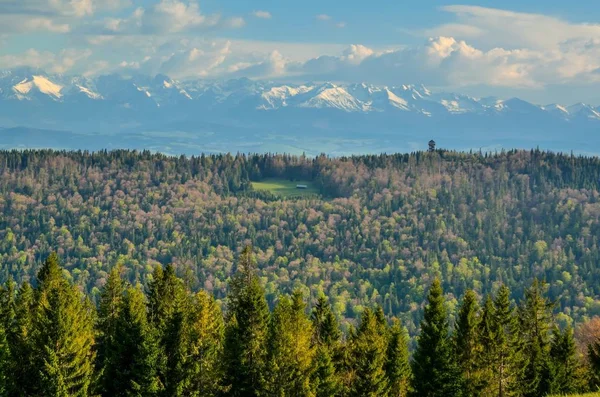 Bezaubernde Berglandschaft Frühling Wunderschön Schneebedeckte Hohe Gipfel Über Hügeln — Stockfoto