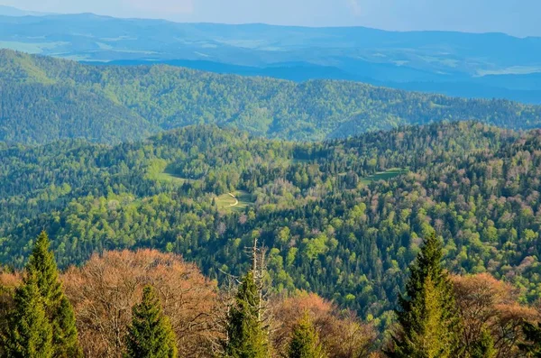 Schöne Frühlingshafte Berglandschaft Bunter Tag Auf Den Schönen Hügeln — Stockfoto