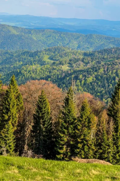 Beau Paysage Montagne Printanier Journée Colorée Sur Les Belles Collines — Photo