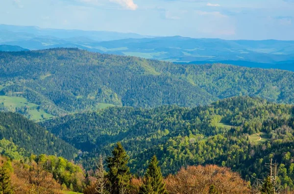 Schöne Frühlingshafte Berglandschaft Bunter Tag Auf Den Schönen Hügeln — Stockfoto