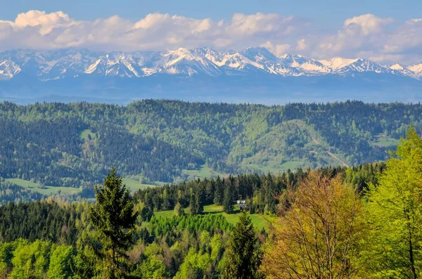 Charmigt Bergslandskap Vackert Snötäckta Höga Toppar Över Kullar — Stockfoto