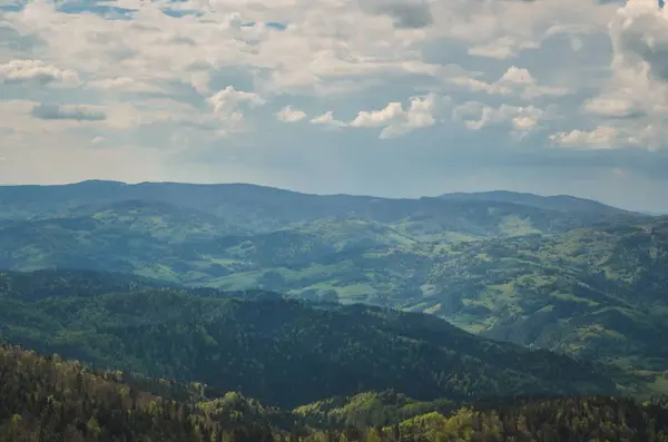 Erstaunliche Berglandschaft Des Frühlings Schatten Und Licht Auf Den Bäumen — Stockfoto