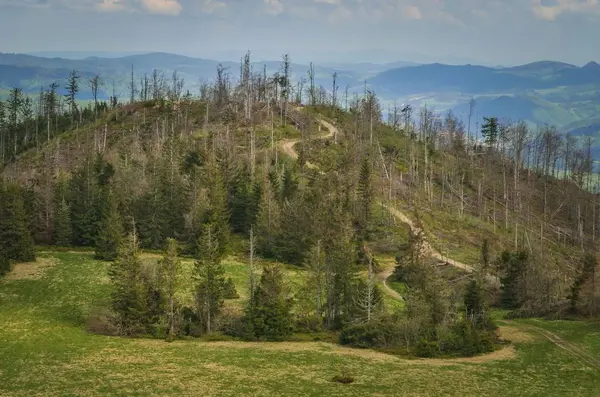 Wunderschöne Berglandschaft Malerischer Weg Zum Berggipfel — Stockfoto