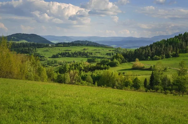 Gyönyörű Hegyi Tavasz Táj Festői Völgy Zöld Dombok — Stock Fotó