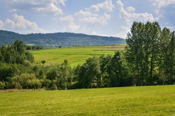 Gyönyörű Hegyi Nyári Táj Zöld Rétek Dombok Lengyel Hegyekben — Stock Fotó