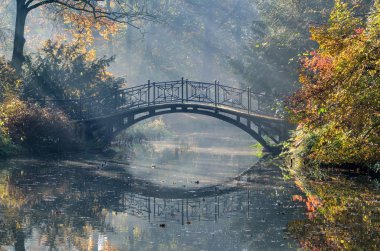 Güzel sonbahar rengarenk manzarası. Polonya 'nın Pszczyna kentindeki şehir parkında köprü.