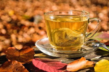 Sonbahar içkisi için ilginç bir fikir. Sonbahar ormanında zerdeçal ile çay.