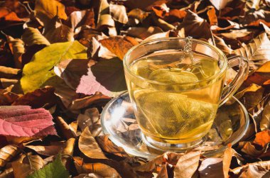 Sonbahar içkisi için ilginç bir fikir. Sonbahar ormanında zerdeçal ile çay.