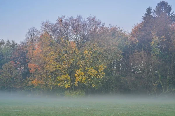 Piękny Jesienny Krajobraz Kolorowe Liście Drzew Parku Miejskim — Zdjęcie stockowe