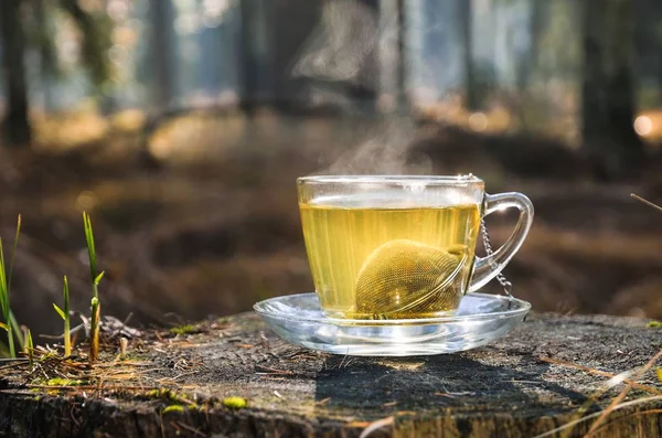 Interesting idea for an autumn drink. Tea with turmeric on a tree trunk in the forest.