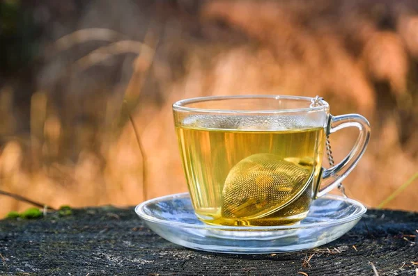 Interesting idea for an autumn drink. Tea with turmeric on a tree trunk in the forest.