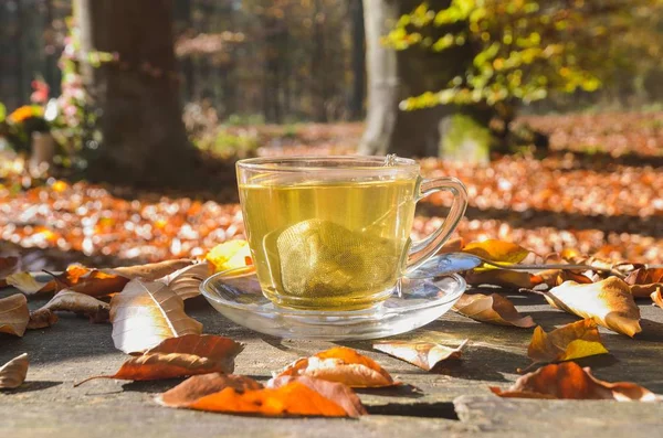 Interesting idea for an autumn drink. Tea with turmeric in the autumn forest.