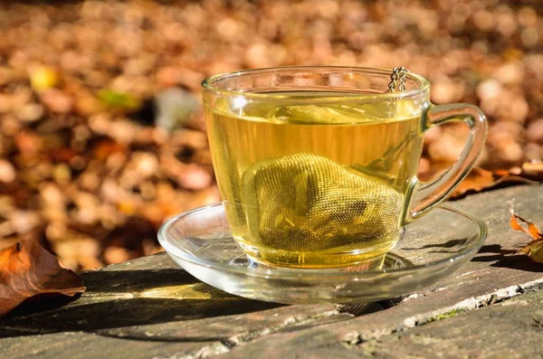 Interesting idea for an autumn drink. Tea with turmeric in the autumn forest.