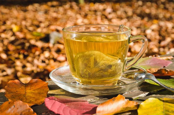 Interesting idea for an autumn drink. Tea with turmeric in the autumn forest.