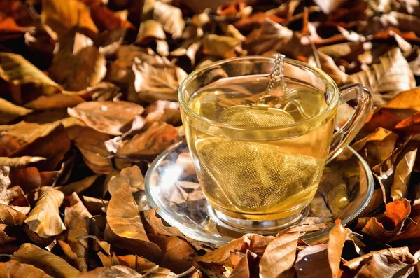 Interesting idea for an autumn drink. Tea with turmeric in the autumn forest.