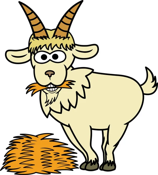 Goat Eating Hay Cartoon Animal Character. Vector Illustration.