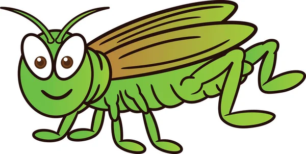Cricket bug Vector Art Stock Images | Depositphotos Cricket bug Vector Art Stock Images | Depositphotos