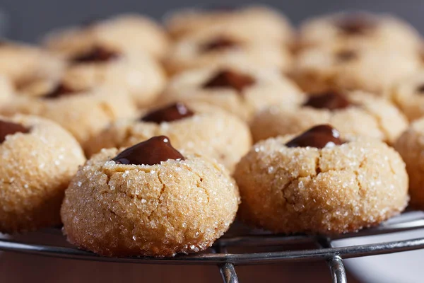 Свіже цукрове печиво з шоколадом — стокове фото