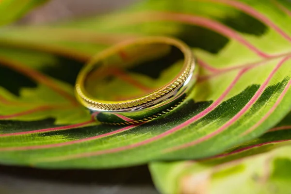 Anillo de boda dorado en hoja tropical brillante —  Fotos de Stock