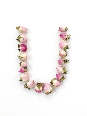 U harfi beyaz arkaplandaki küçük pembe güllerden oluşur.