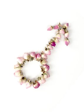 Mars 'ın işareti ve beyaz arka planda pembe güllerden yapılmış erkek oku..