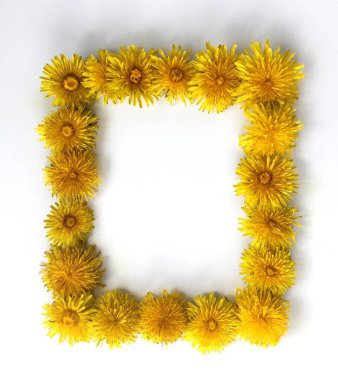 Beyaz arkaplanda karahindiba çiçekleri olan parlak çerçeve