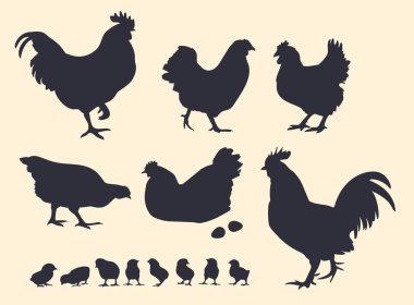 Kümes hayvanlarının karanlık vektör siluetleri. Horozlar, tavuklar ve tavuklar.