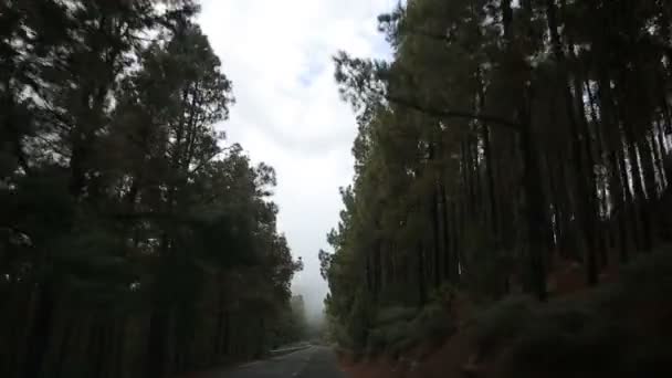 山道で車を運転 — ストック動画