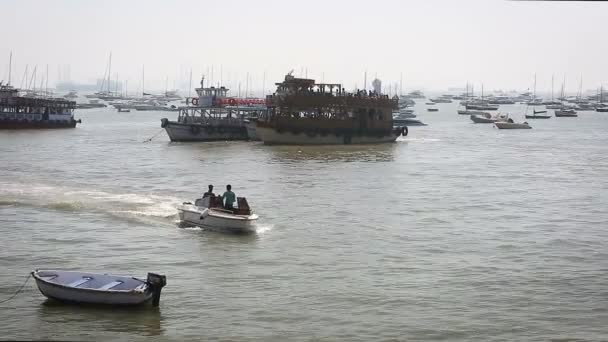 Barcos turísticos y pesqueros por el puerto — Vídeo de stock