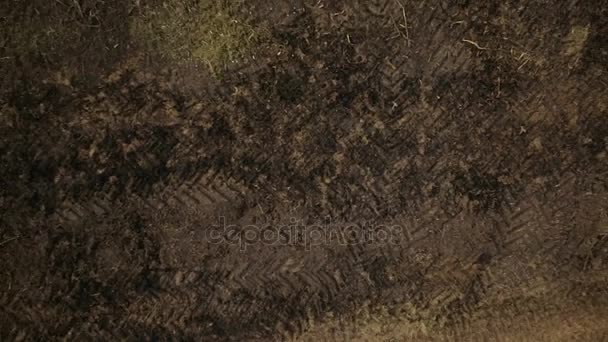 Terrain agricole marécageux avec herbe sèche brûlée vue aérienne 